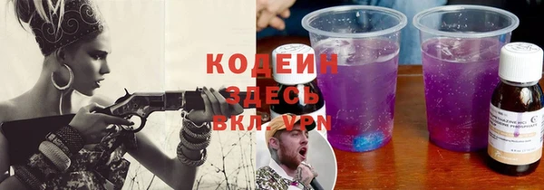 ГАЛЛЮЦИНОГЕННЫЕ ГРИБЫ Аркадак