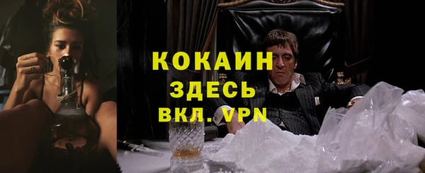 спиды Армянск