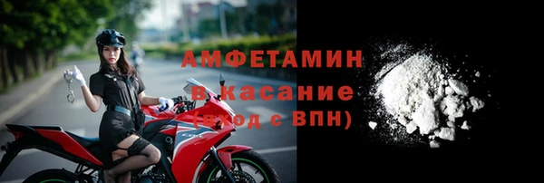 ГАЛЛЮЦИНОГЕННЫЕ ГРИБЫ Аркадак