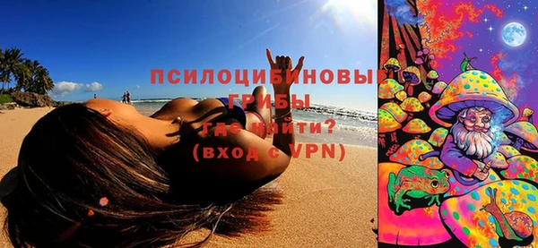 прущий лед Арсеньев