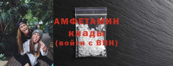 ГАЛЛЮЦИНОГЕННЫЕ ГРИБЫ Аркадак