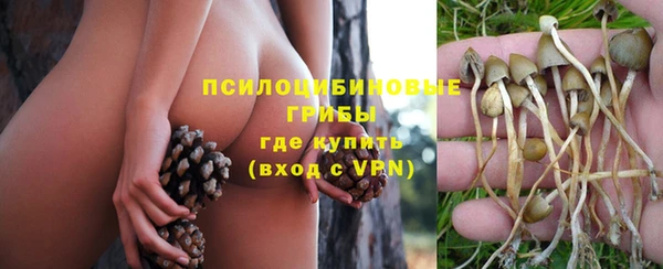 спиды Армянск